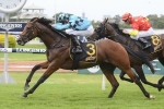 Schweppervesence winner Holyfield firms in the betting for Inglis Sires’