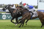 Night’s Watch still at long odds for Queen Elizabeth Stakes after Neville Sellwood Stakes win