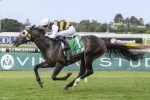 Quick Thinker confirms Australian Derby chances with Tulloch Stakes win