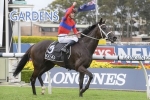 Melbourne Cup on the agenda for Tancred Stakes winner Verry Elleegant