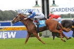 Bring Me The Maid New Silver Shadow Stakes Favourite Bring Me The Maid New Silver Shadow Stakes Favourite