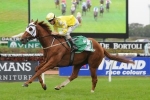 Criterion On Top Of Ranvet Stakes Field