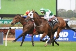 Speediness Can Win 2014 Emirates Stakes