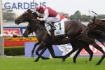 Bounding The Unknown In Royal Sovereign Stakes