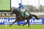 New Sydney Cup favourite The Offer penalised 1kg New Sydney Cup favourite The Offer penalised 1kg