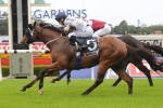 Time For War to set the pace in the Inglis Sires’ Time For War to set the pace in the Inglis Sires’