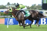 Aliyana Tilde kicks off Caulfield Cup campaign in Chelmsford Stakes Aliyana Tilde kicks off Caulfield Cup campaign in Chelmsford Stakes