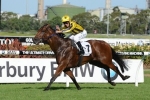Luck Key For Bel Sprinter In 2014 Winterbottom Stakes