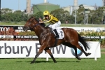 Bel Sprinter Chasing Back-To-Back Wins In The Galaxy