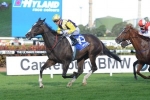 Early Spring Target For Havana Rey