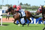 Scandiva Launches Golden Slipper Assault With Magic Night Stakes Win