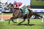 Chrono Genesis new favourite for 2020 Cox Plate