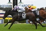 Lady Cosmology backed into favouritism for 2019 Robert Sangster Stakes