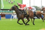 Hawkesbury Guineas Ideal Step for Bachman