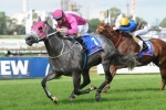 Catkins Flying Before Queen Of The Turf Stakes