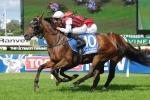Gallatin Likely to Back-Up in Australian Derby