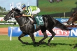 Logan Happy With Rising Romance Ahead Of Australian Oaks