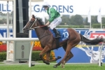 Golden Slipper winner Mossfun retired