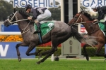 Weary To Settle Towards Tail Of Memsie Stakes Field
