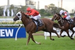 Hot Snitzel scores a surprise win in Sebring Stakes Hot Snitzel scores a surprise win in Sebring Stakes