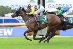 Norzita Out of 2013 Spring Racing Carnival
