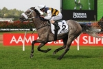 Manighar To Return To Past Caulfield Cup Form