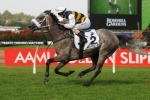 Manighar & Rawiller Continue Partnership In Eagle Farm Cup