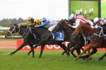 Metal Bender Scratched From Chelmsford Stakes Metal Bender Scratched From Chelmsford Stakes