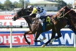 Cummings Pleased with Queensland Derby Hope High Midnight