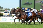 Solicit storms home to win 2015 Darley Crown