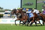Ryan’s pair to head to Queensland for Tattersall’s Tiara Ryan’s pair to head to Queensland for Tattersall’s Tiara