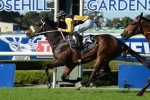 Waller’s 3 dominate betting in Winter Challenge Waller’s 3 dominate betting in Winter Challenge