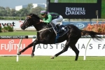 Robl sticks with Drago in Golden Rose Stakes
