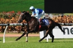 Bjorn Baker Mare Is Simply Brilliant In Trial Return Bjorn Baker Mare Is Simply Brilliant In Trial Return