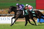 Scream Machine Drops In Weight For Villiers Stakes Scream Machine Drops In Weight For Villiers Stakes
