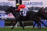 Southern Cross Stakes Could Be Too Sharp For Aussies Love Sport Southern Cross Stakes Could Be Too Sharp For Aussies Love Sport