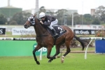 Ecuador at his his peak for Emirates Stakes Ecuador at his his peak for Emirates Stakes