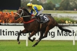 Support For Amovatio In Magic Millions Stayers Cup Betting Support For Amovatio In Magic Millions Stayers Cup Betting