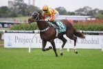 Miss Ready & O’Hara Set To Continue Winning Partnership At Rosehill