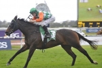 Attard hoping for wet track for Kellyville Flyer in Hawkesbury Gold Cup Attard hoping for wet track for Kellyville Flyer in Hawkesbury Gold Cup