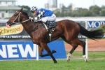 Ramornie Handicap Likely for Brook Road Ramornie Handicap Likely for Brook Road