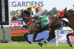 Sniper Fire Capable Of Upset Golden Rose Win Sniper Fire Capable Of Upset Golden Rose Win