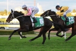 Destiny’s Kiss Sets Sights On Winter Cup Destiny’s Kiss Sets Sights On Winter Cup