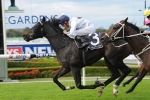 Ryan Expecting Koroibete To Be Tough To Beat This Weekend Ryan Expecting Koroibete To Be Tough To Beat This Weekend