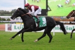 Group 1 Sprints On The Agenda For Sessions Group 1 Sprints On The Agenda For Sessions