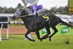 First try at 2000m for Foxplay in Vinery Stud Stakes