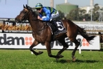 Kapour On Top Of Grafton Cup Betting Kapour On Top Of Grafton Cup Betting