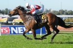 Puccini among a handful of nominations in Ipswich Cup