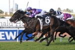 Only Nine Horses In Winter Stakes Nominations Only Nine Horses In Winter Stakes Nominations