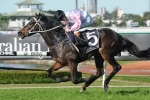Destiny’s Kiss to Miss Grafton Cup